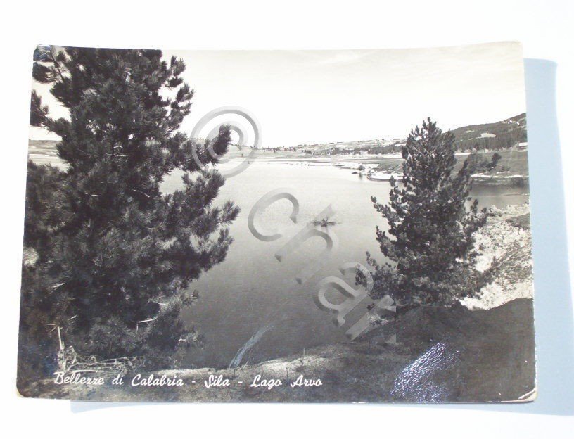 Cartolina Sila ( Catanzaro ) - Lago Arvo 1956.
