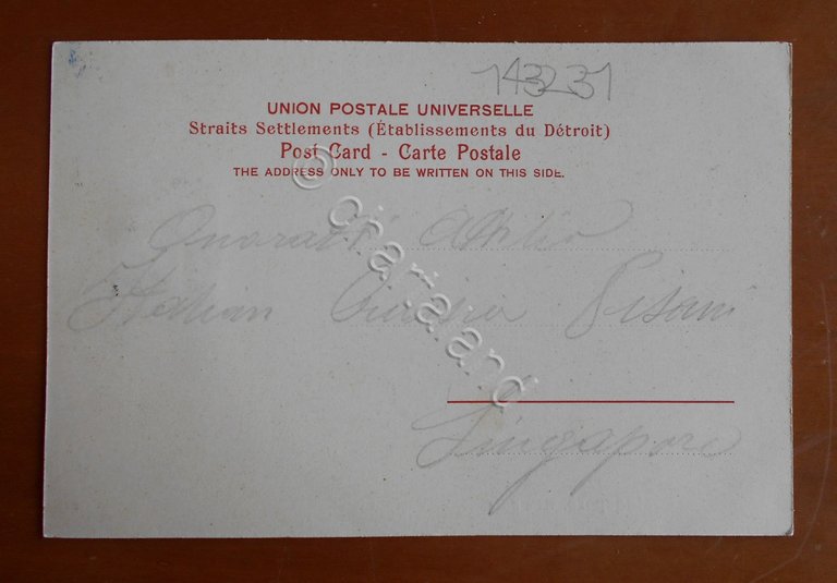 Cartolina Singapore - Main Road - 1904