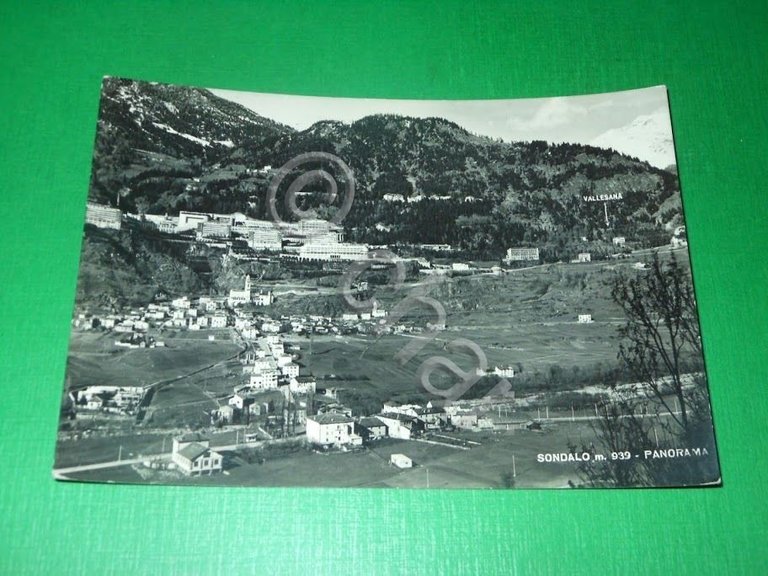 Cartolina Sondalo - Panorama 1955 ca.