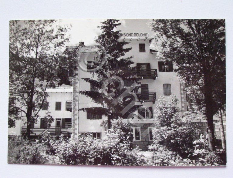 Cartolina Soraga ( Trento ) - Pensione Dolomiti 1960