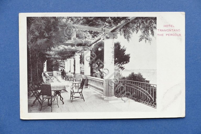 Cartolina Sorrento - Hotel Tramontano - The Pergola - 1910 …