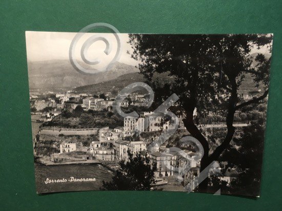 Cartolina Sorrento - Panorama - 1960ca.