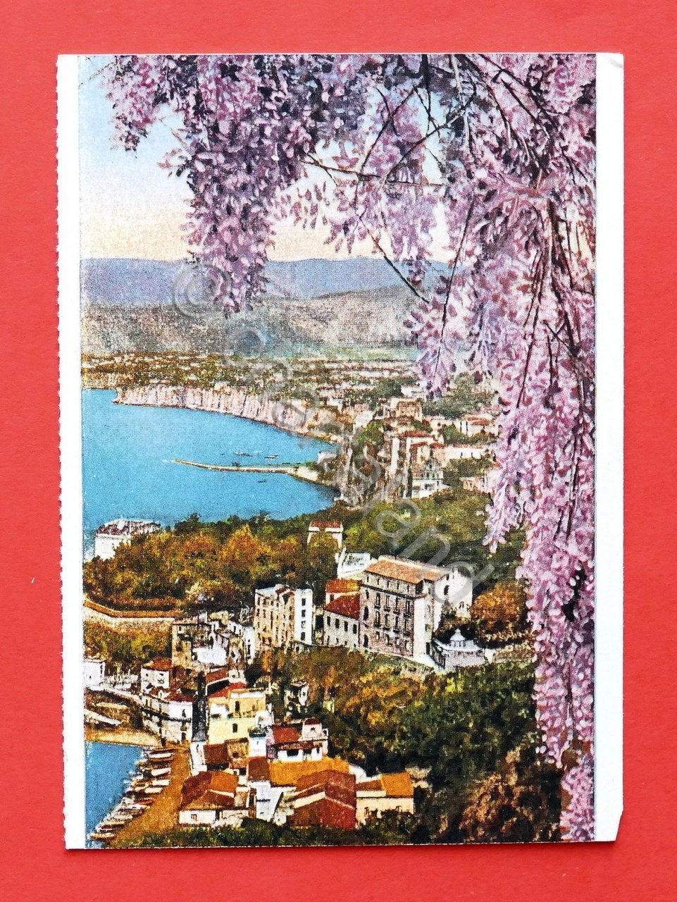 Cartolina Sorrento - Panorama 1930 ca..