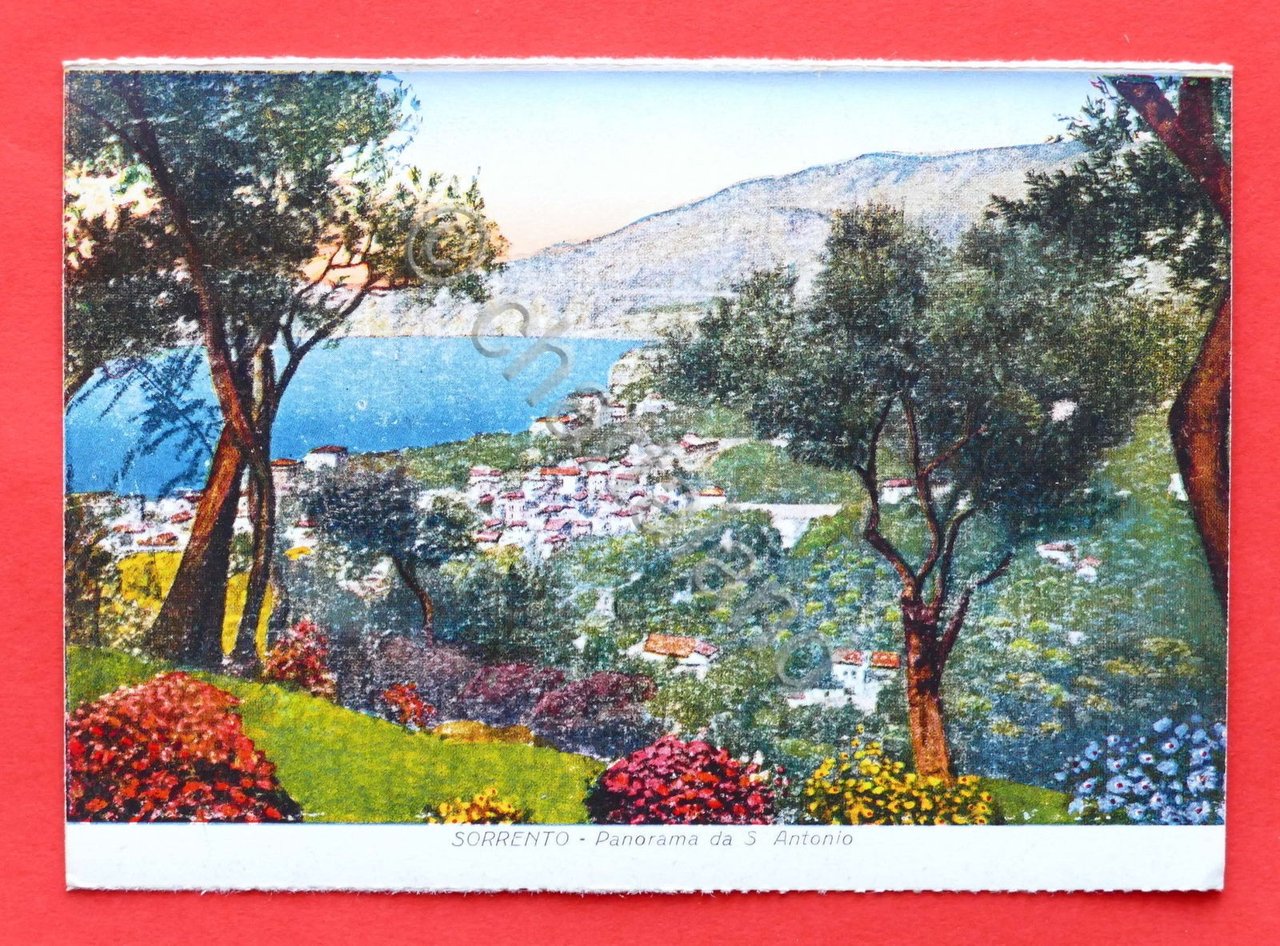 Cartolina Sorrento - Panorama da S. Antonio - 1930 ca..