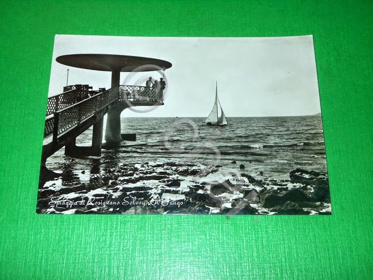 Cartolina Spiaggia di Rosignano Solvay - Il Fungo 1960