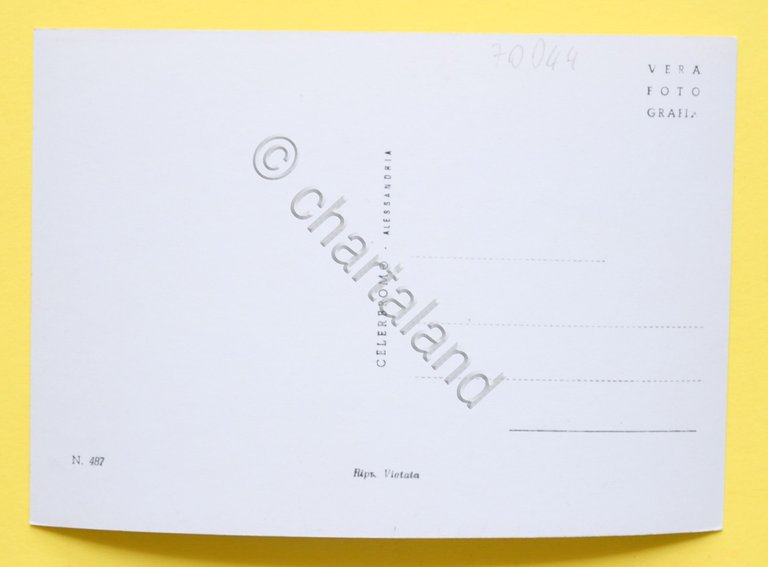 Cartolina Spinetta Marengo Panorama 1950