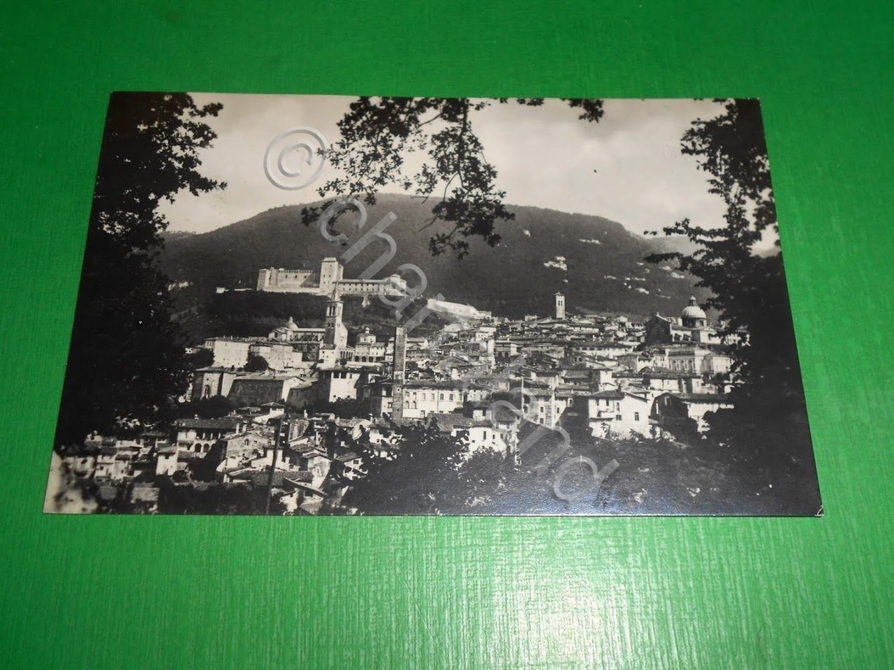 Cartolina Spoleto - Panorama 1933.