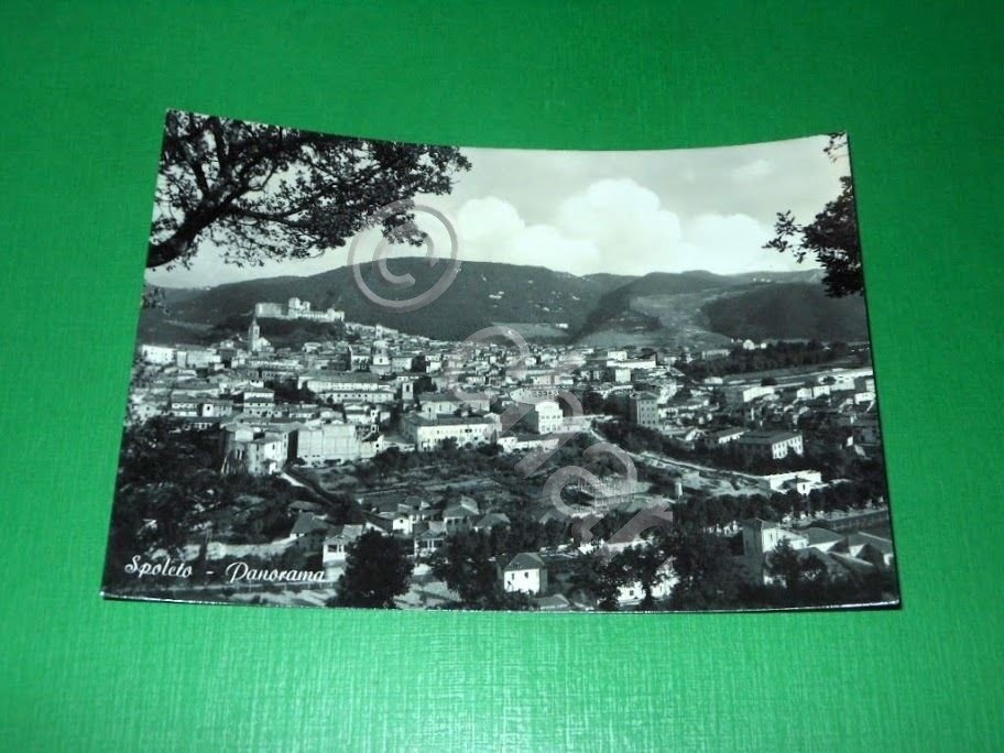 Cartolina Spoleto - Panorama 1966.