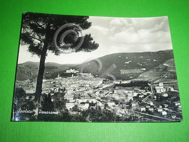 Cartolina Spoleto - Panorama generale 1961