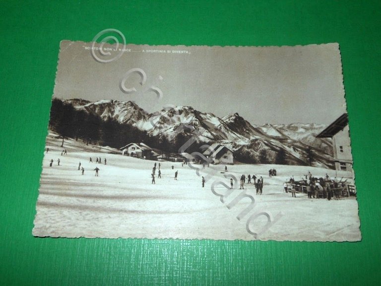 Cartolina Sportinia - Piste da sci 1956 | Immagine Gallery 2