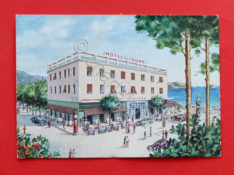 Cartolina Spotorno - Albergo Ligure - 1950 ca. | Immagine Gallery 2
