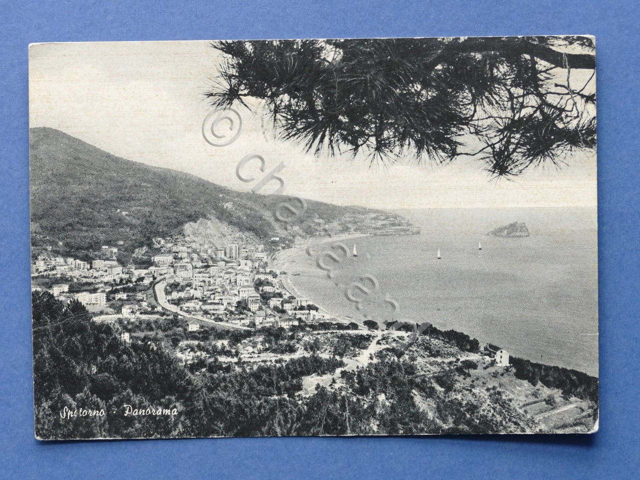 Cartolina Spotorno - Panorama - 1966.
