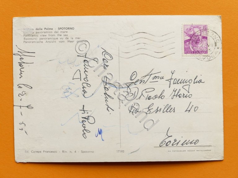 Cartolina Spotorno - Scorcio panoramico dal mare - 1965