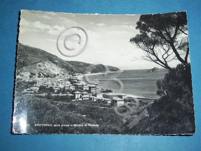 Cartolina Spotorno dalla pineta - Riviera Ponente 1954