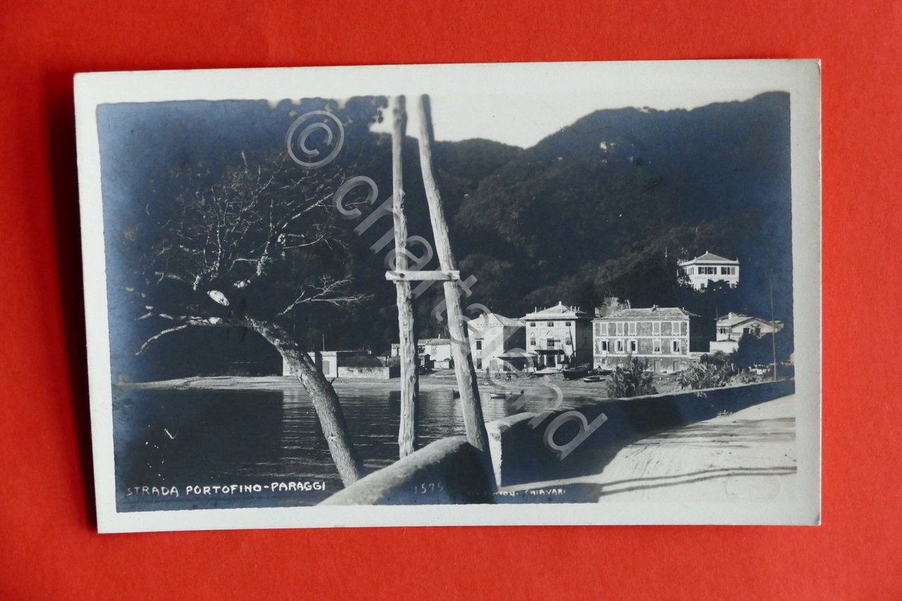 Cartolina Strada Portofino - Paraggi - 1920 ca..
