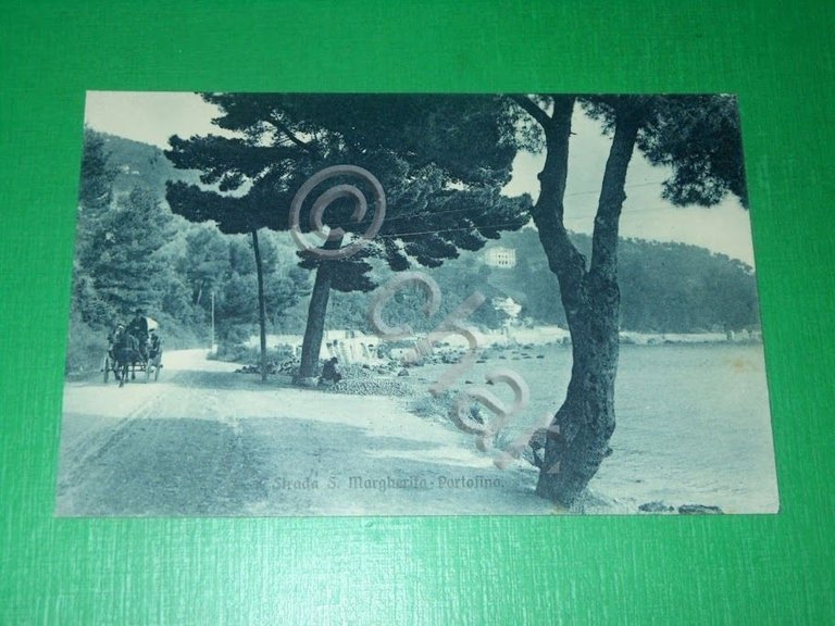 Cartolina Strada S. Margherita Ligure - Portofino 1920 ca