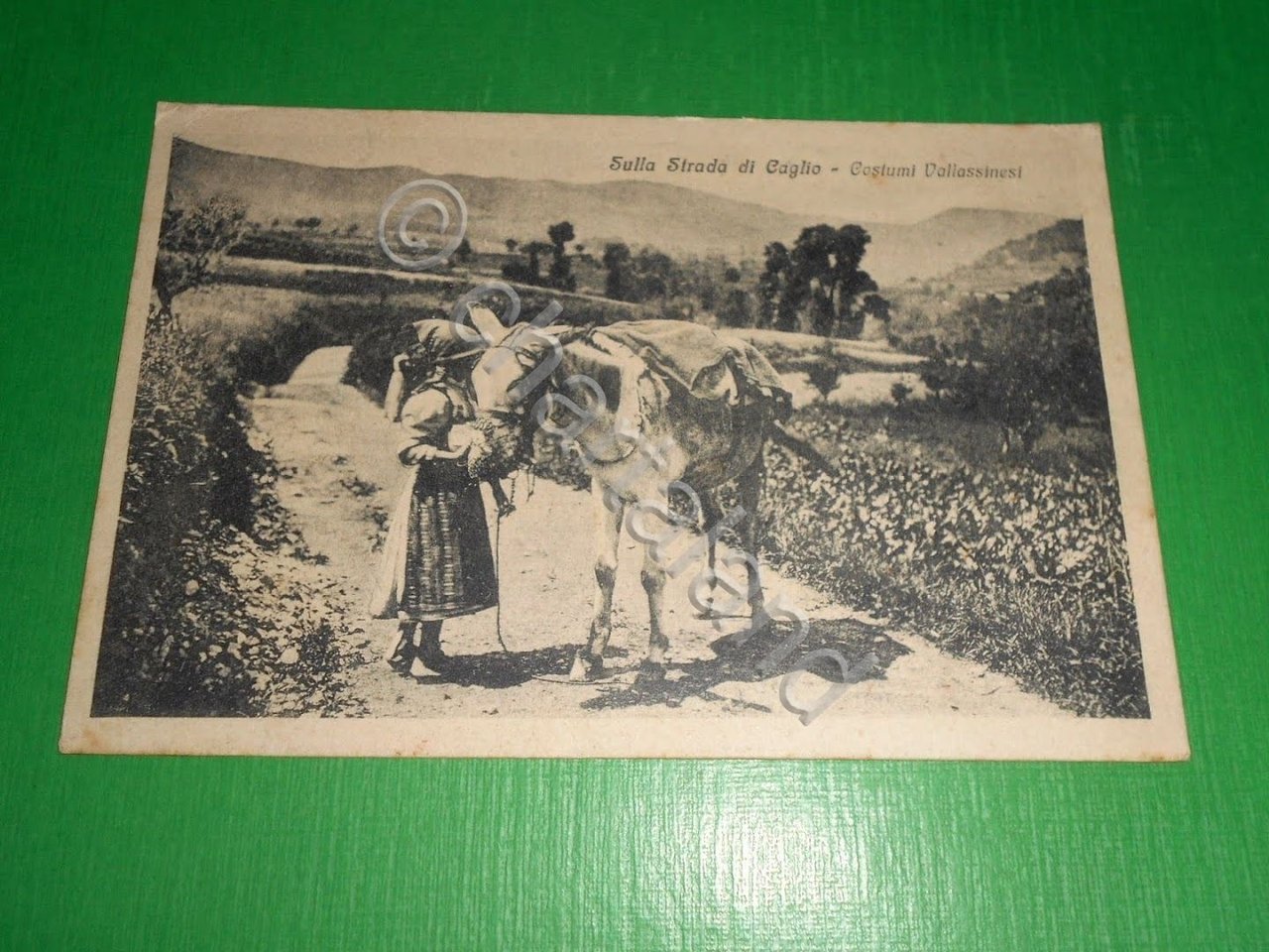 Cartolina Sulla Strada di Caglio - Costumi Vallassinesi 1917.