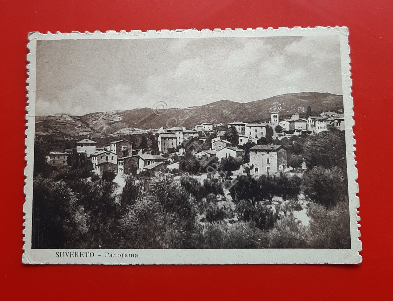 Cartolina Suvereto - Panorama - 1950