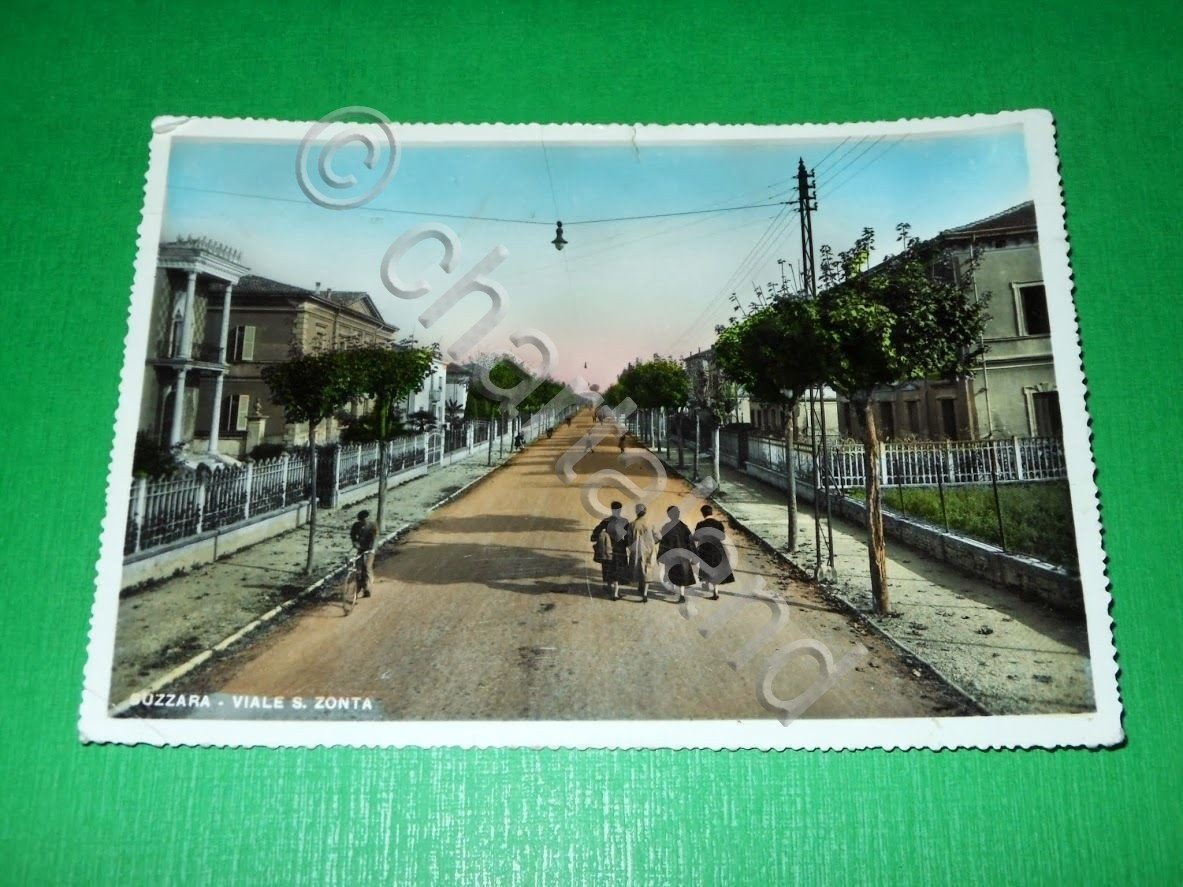 Cartolina Suzzara ( Mantova ) - Viale S. Zonta 1960. | Immagine principale