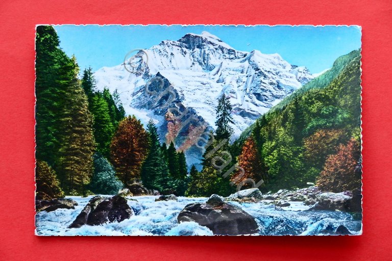 Cartolina Svizzera - Lutschine mit Jungfrau - 1960 ca.