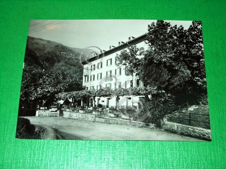 Cartolina Taceno - Tartavalle Terme - Hotel Savoia 1955 ca