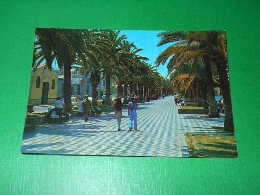 Cartolina Tacna ( Perù ) - Avenida Bolognesi / Bolognesi …