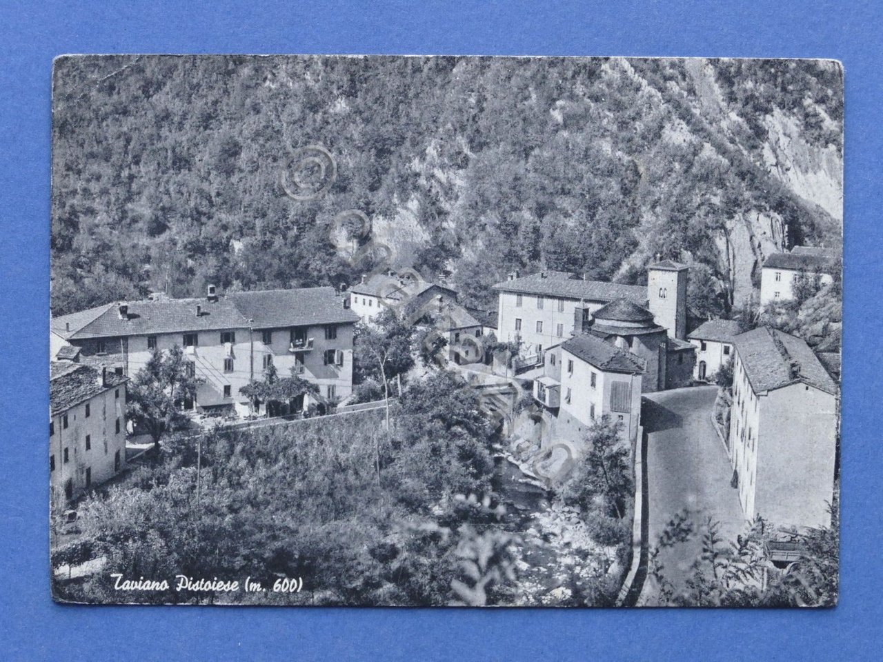Cartolina Taviano Pistoiese - Panorama - 1951.