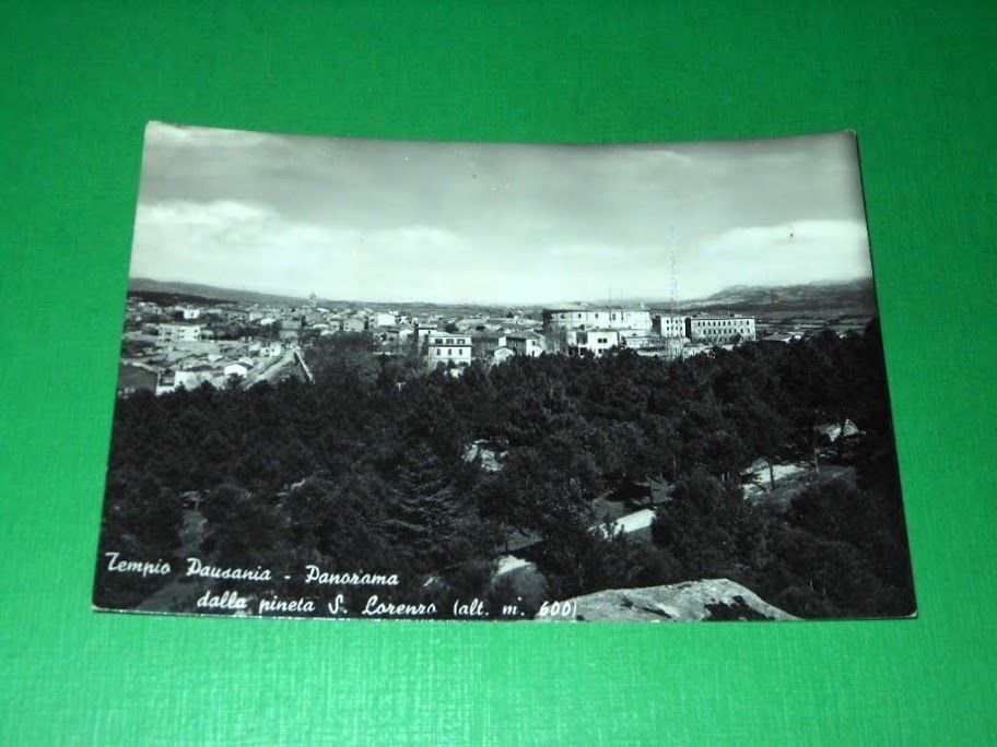 Cartolina Tempio Pausania - Panorama dalla pineta S. Lorenzo 1950 …