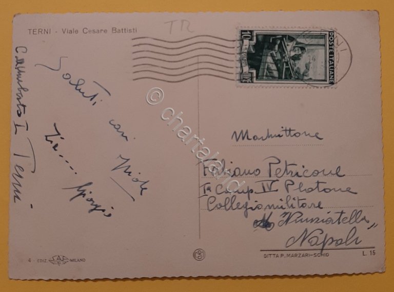 Cartolina Terni - Viale Cesare Battisti - 1954