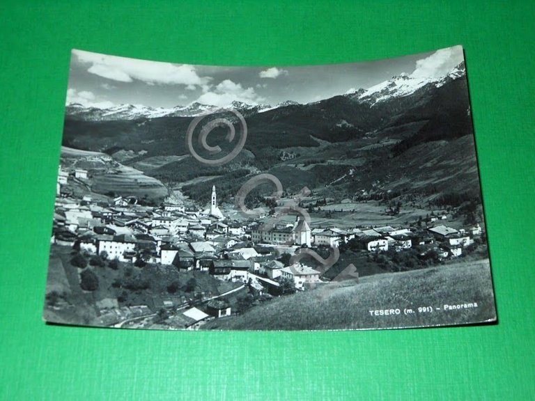 Cartolina Tesero - Panorama 1955 | Immagine Gallery 2