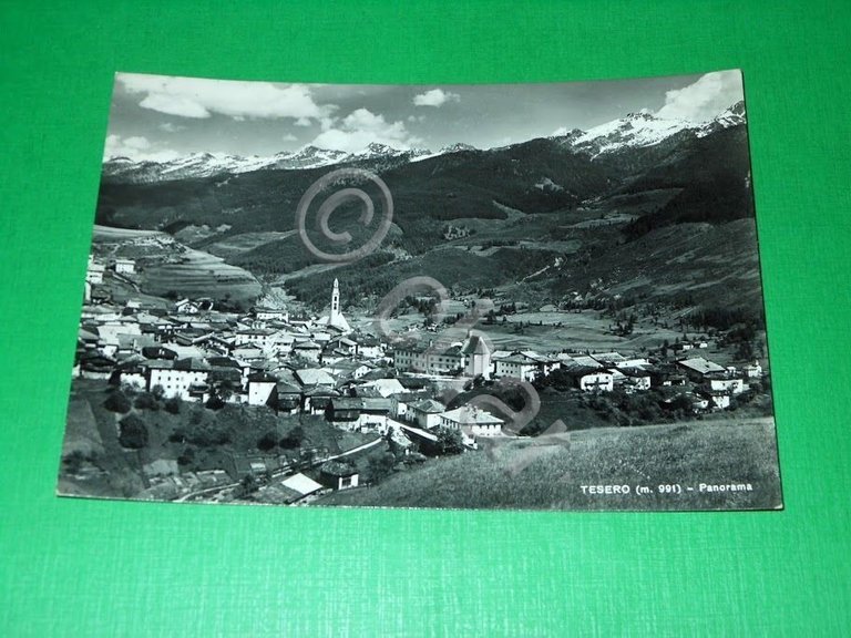 Cartolina Tesero ( Trento ) - Panorama 1955