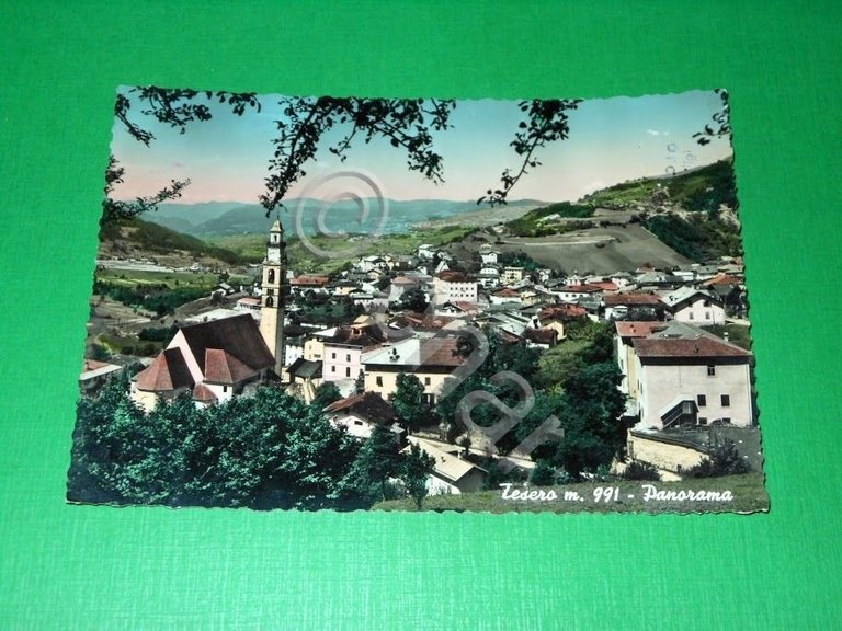 Cartolina Tesero ( Trento ) - Panorama 1956.
