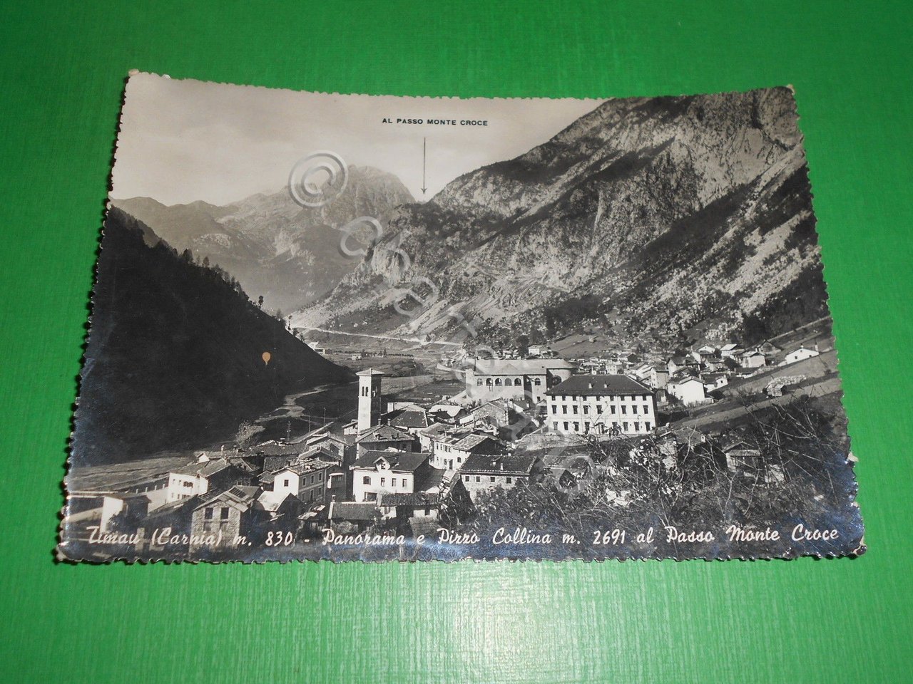 Cartolina Timau ( Carnia ) - Panorama e Pizzo Collina …