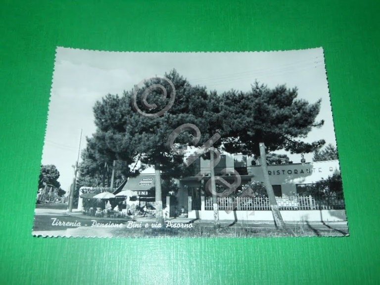 Cartolina Tirrenia - Pensione Bini e via Pisorno 1950 ca