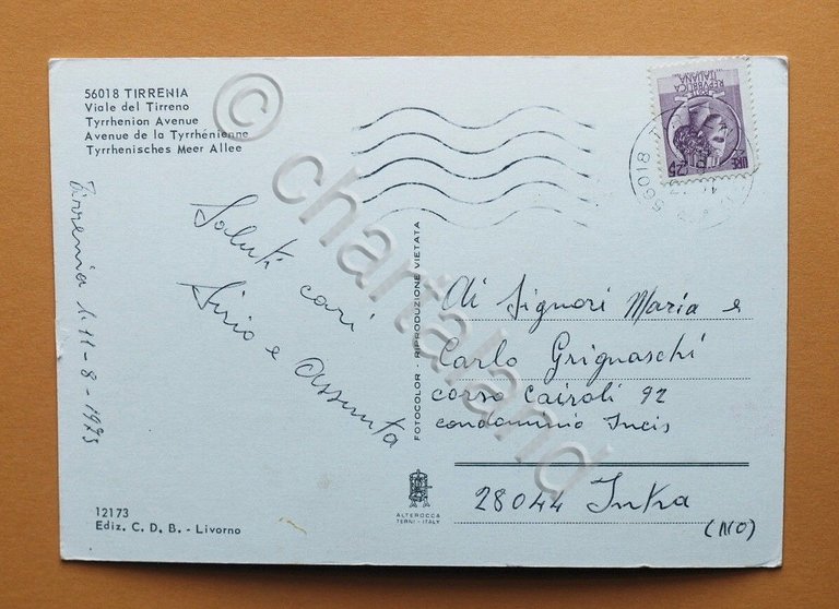 Cartolina Tirrenia - Viale del Tirreno - 1973. | Immagine Gallery 2
