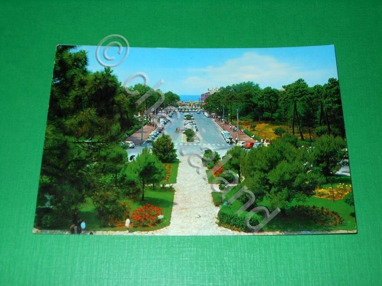 Cartolina Tirrenia ( Pisa ) - Giardini Pubblici e Pineta …