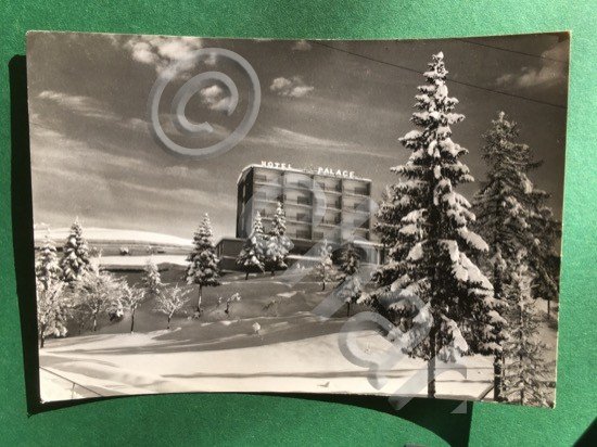 Cartolina Tonezza Del Cimone - Hotel Palace - Vicenza - …