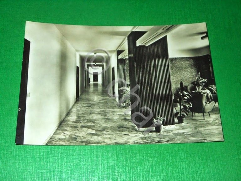 Cartolina Torino - Villa S. Pio X 1955 ca