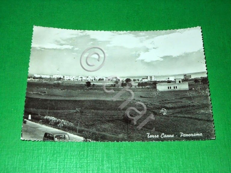 Cartolina Torre Canne - Panorama 1954