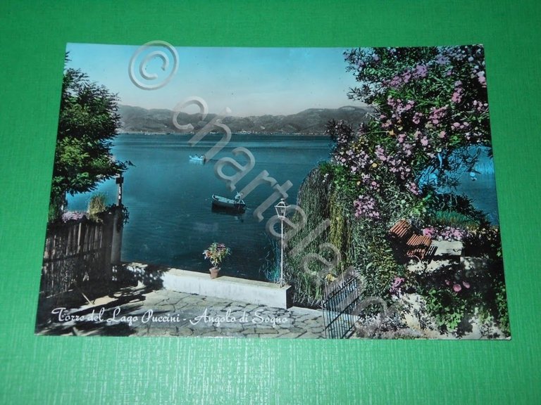 Cartolina Torre del Lago Puccini - Angolo di Sogno 1960 …