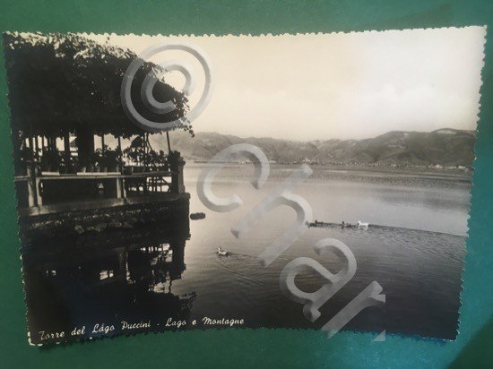 Cartolina Torre Del Lago Puccini - Lago E Montagne - …