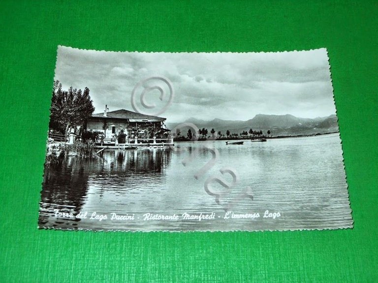 Cartolina Torre del Lago Puccini - Ristorante Manfredi - Il …