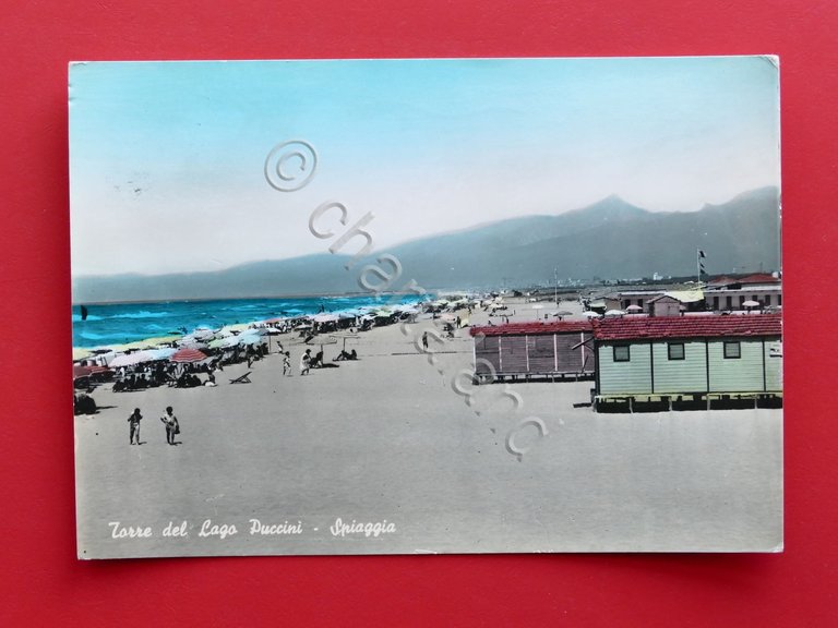 Cartolina Torre del Lago Puccini - Spiaggia - 1959