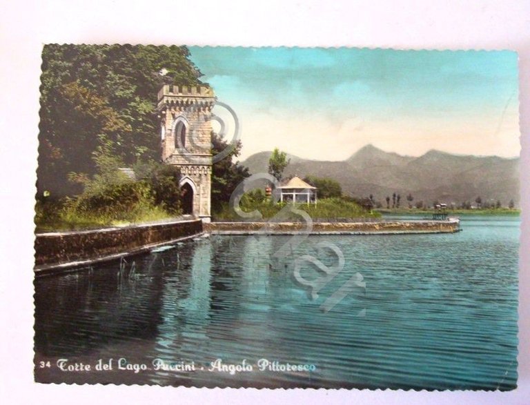 Cartolina Torre del Lago Puccini - Veduta 1957 | Immagine Gallery 2