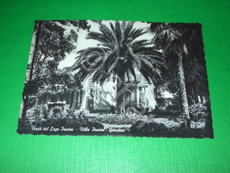 Cartolina Torre del Lago Puccini - Villa Puccini - Giardino … | Immagine Gallery 2