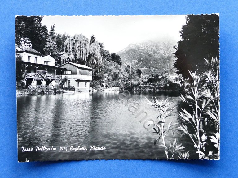 Cartolina Torre Pellice - Laghetto Blancio - 1955.