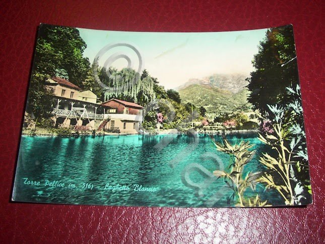 Cartolina Torre Pellice - Laghetto Blancio 1955 ca