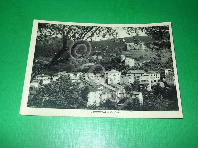 Cartolina Torriglia - Panorama e Castello 1953
