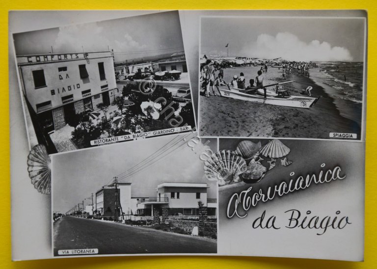 Cartolina Torvaianica Da Biagio 1950