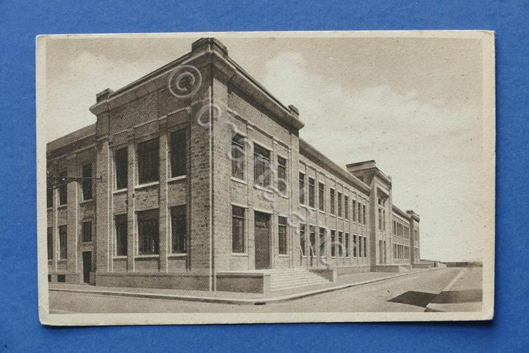 Cartolina Trani - Edificio Scolastico - Scuole Elementari - 1925 …